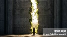 دیالکتیک قدرت و حق؛ تنش‌های همیشگی در میدان حکمرانی