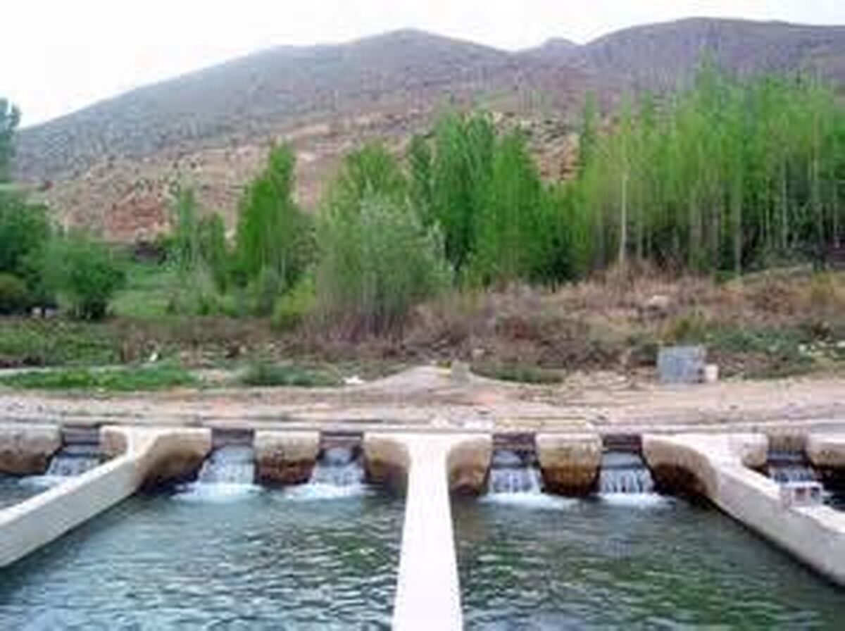 شناسنامه‌دار کردن مزارع چگونه صنعت آبزی‌پروری را متحول می‌کند؟