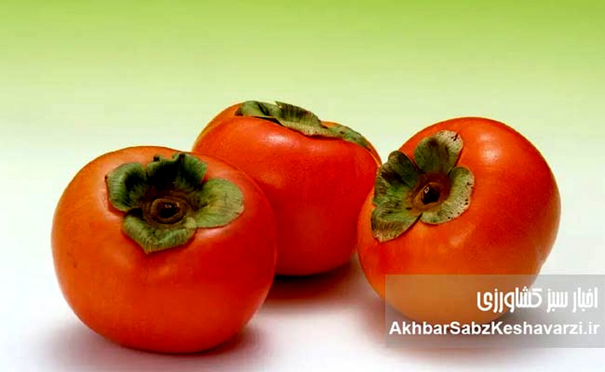 خرمالو؛ میوه‌ طلایی پاییز با خواص جادویی برای سلامتی و زیبایی