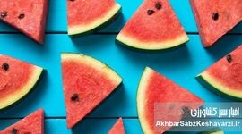 هندوانه را کی بخوریم؟ حقیقتی عجیب درباره بهترین زمان خوردن هندوانه