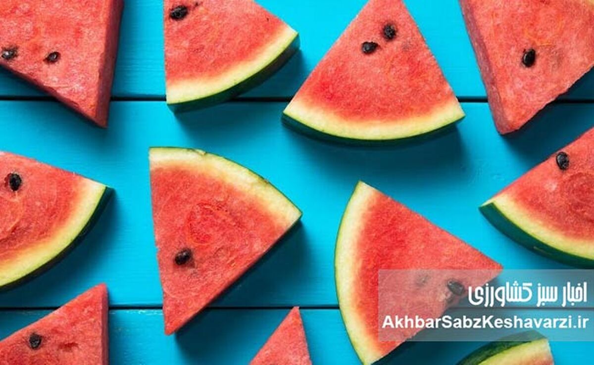 هندوانه را کی بخوریم؟ حقیقتی عجیب درباره بهترین زمان خوردن هندوانه