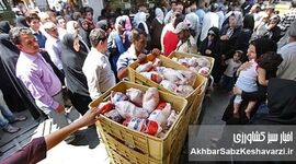 شفافیت، نظارت و کاهش هزینه تولید؛ راه برون رفت از گرانی مرغ