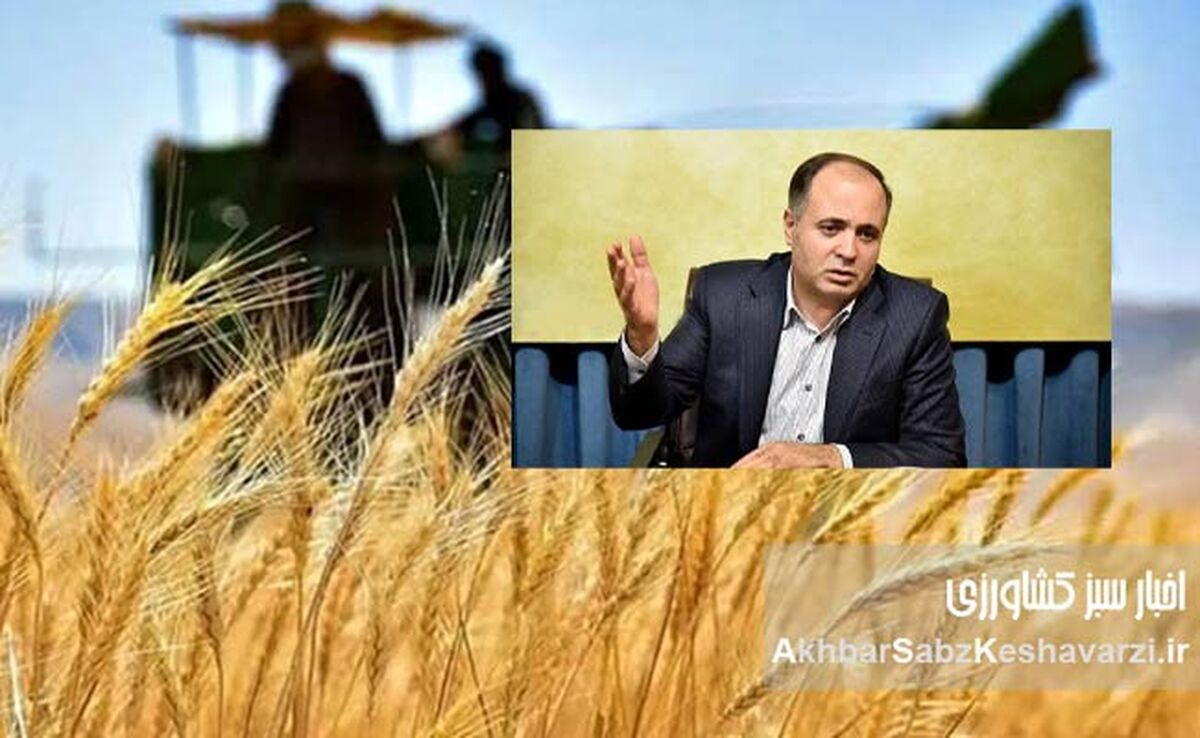 قیمت خرید تضمینی گندم: از ۲۱ هزار تومان دیروز تا ۲۰ هزار و 500 تومان امروز+ ویدئو