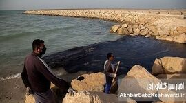 لکه‌های نفت به ساحل شیدور رسید؛ میراث تلخ جنگ بر پیکر خلیج‌فارس