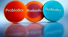بررسی نقش پربیوتیک، پروبیوتیک و پست بیوتیک در بهبود تغذیه