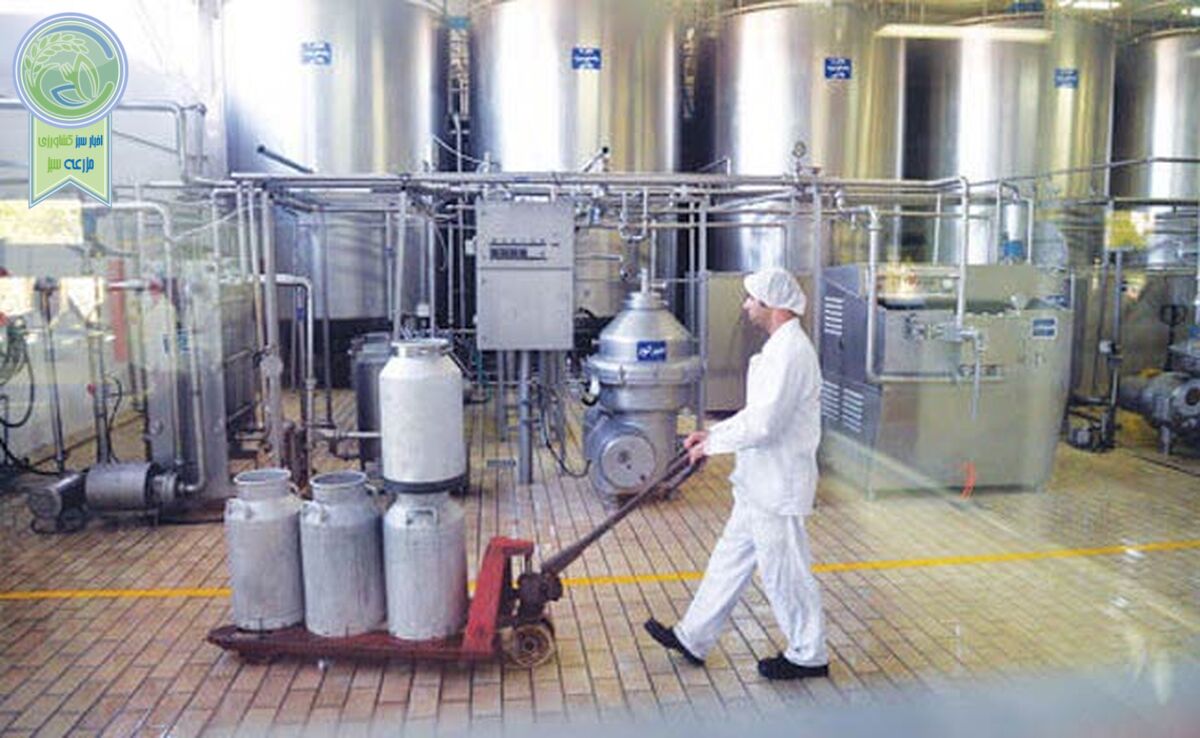 امکان صادرات شیر خام به بازار‌های هدف وجود دارد

