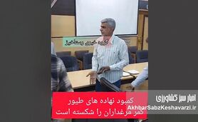 فریاد کشاورزان از گرانی نهاده و کمبود ذرت؛ بحران خاموش در انبارهای کشور+ ویدئو
