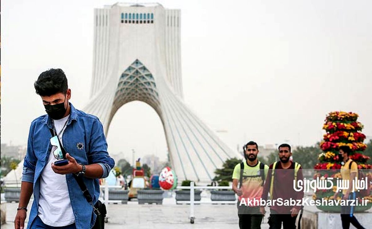 چرا افزایش سرانه فضای سبز باید در اولویت شوراهای شهر قرار گیرد؟