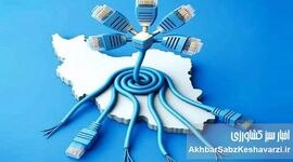 بازگشت اینترنت پس از ۸۸ روز؛ نوشدارویی پس از مرگ هزاران کسب‌وکار