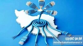 بازگشت اینترنت پس از ۸۸ روز؛ نوشدارویی پس از مرگ هزاران کسب‌وکار