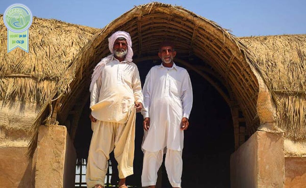 سیستان‌وبلوچستان و دردهای بی‌شمار

