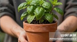 وقتی دست‌های خاکی، ذهن را پاک می‌کنند