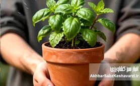 وقتی دست‌های خاکی، ذهن را پاک می‌کنند
