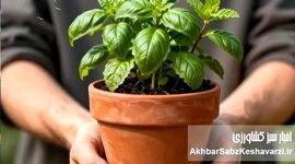 وقتی دست‌های خاکی، ذهن را پاک می‌کنند