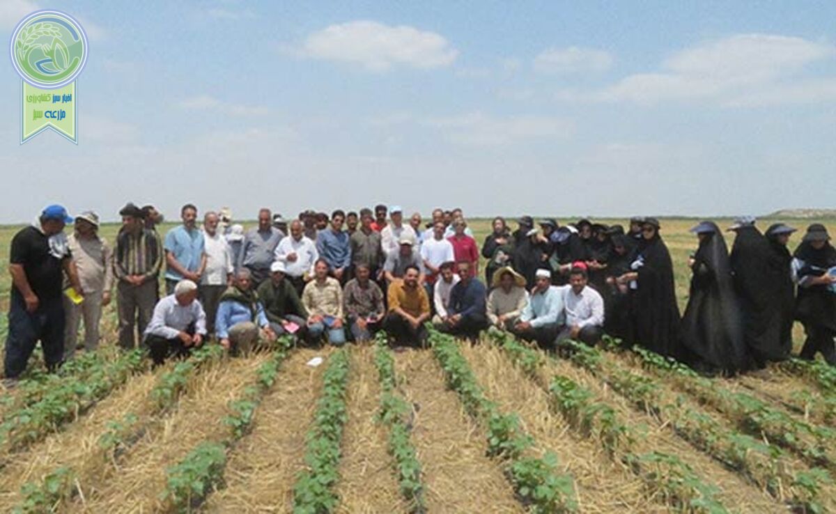 برگزاری کارگاه آموزشی کشاورزی حفاظتی برای کشاورزان اصفهانی

