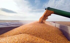 قیمت نهاده های دامی و کشاورزی ۱۷ اردیبهشت ۱۴۰۳+ جدول

