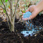 کوددهی درختان از نهال تا باردهی کامل؛ راهنمای تغذیه باغ