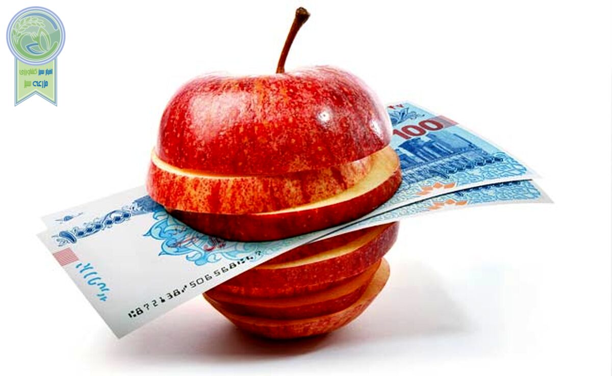 بازار آشفته تره‌بار و صیفی؛ وزارت جهاد کشاورزی پاسخگو باشد؟

