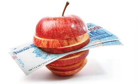 بازار آشفته تره‌بار و صیفی؛ وزارت جهاد کشاورزی پاسخگو باشد؟

