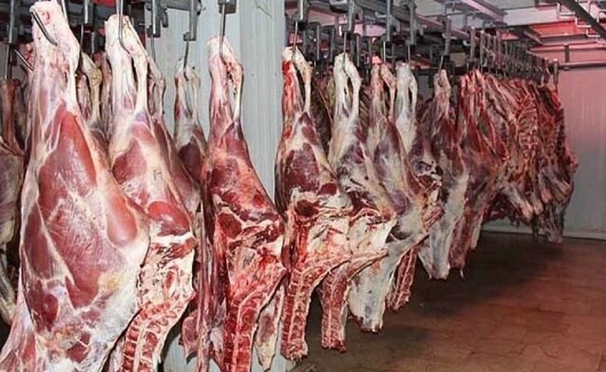 قیمت روز گوشت قرمز در ۳ آبان ۱۴۰۳+ جدول

