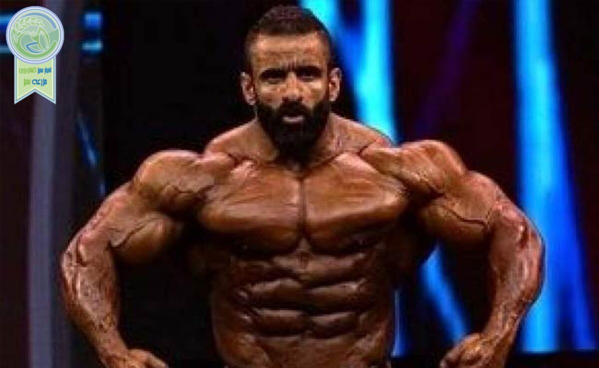 تمسخر لحن هادی چوپان در برنامه صدا و سیما+ ویدئو

