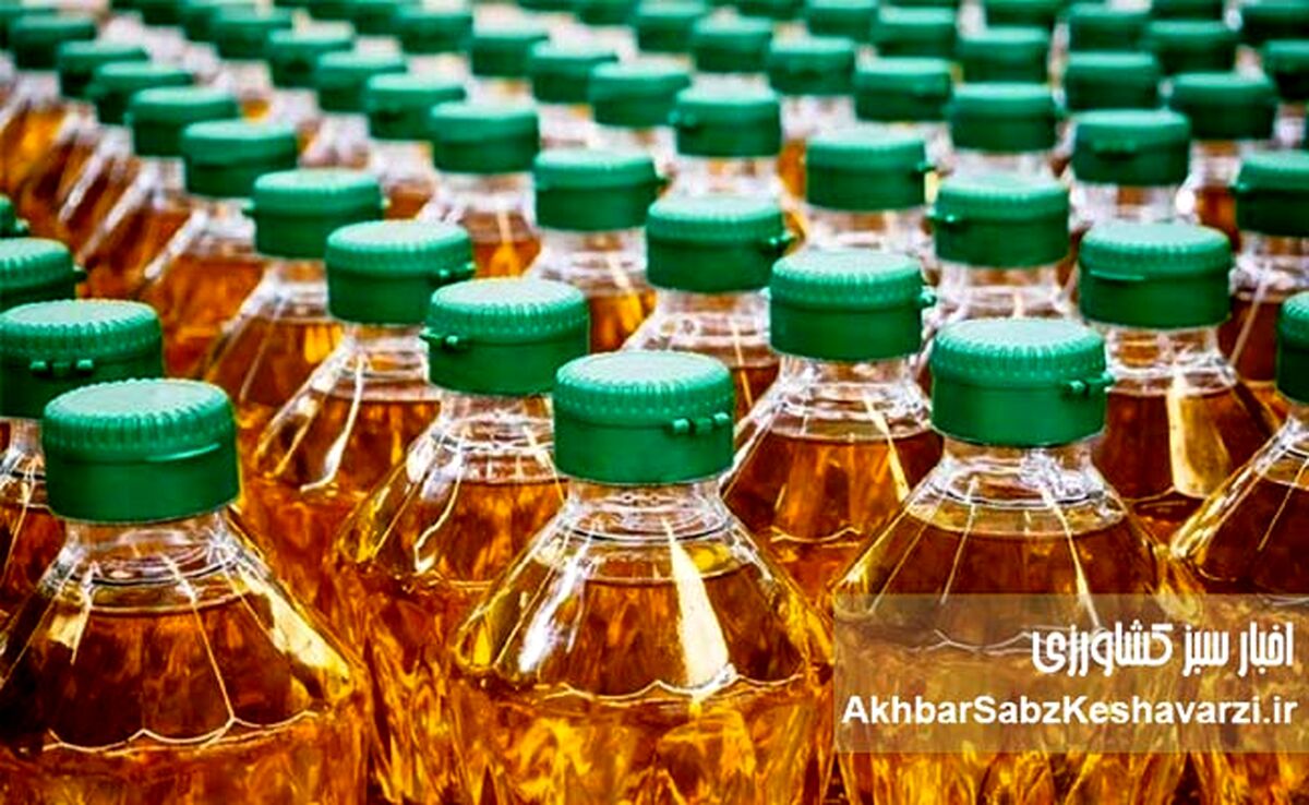 روغن کمیاب شد؛ قیمت روغن ۱۷ کیلویی چرا تا ۲ برابر جهش کرد؟