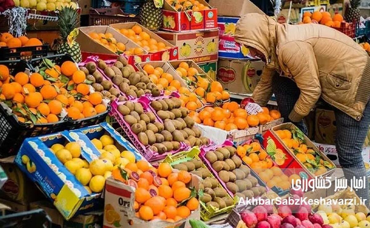 ۹۸ درصد مردم اعتبار کالابرگ را خرج کردند؛ استقبال گسترده

