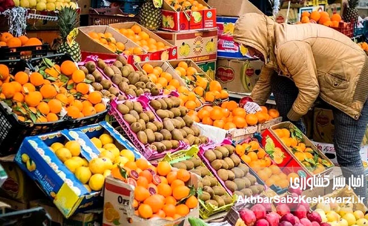 ۹۸ درصد مردم اعتبار کالابرگ را خرج کردند؛ استقبال گسترده

