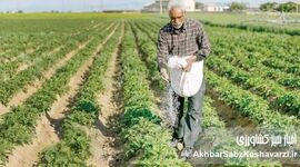 بحران خاموش در کشاورزی ایران؛ افزایش قیمت کود و سم، تهدیدی برای امنیت غذایی کشور