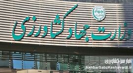 اجرای طرح تضمین امنیت غذایی با وزیری فاقد مشروعیت
