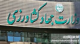 اجرای طرح تضمین امنیت غذایی با وزیری فاقد مشروعیت