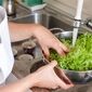 بهترین روش شستن سبزیجات برای سلامت بیشتر