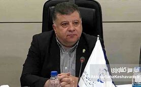 نبود هماهنگی در انتقال ارز، چالش عمده در بخش کود و سم کشور