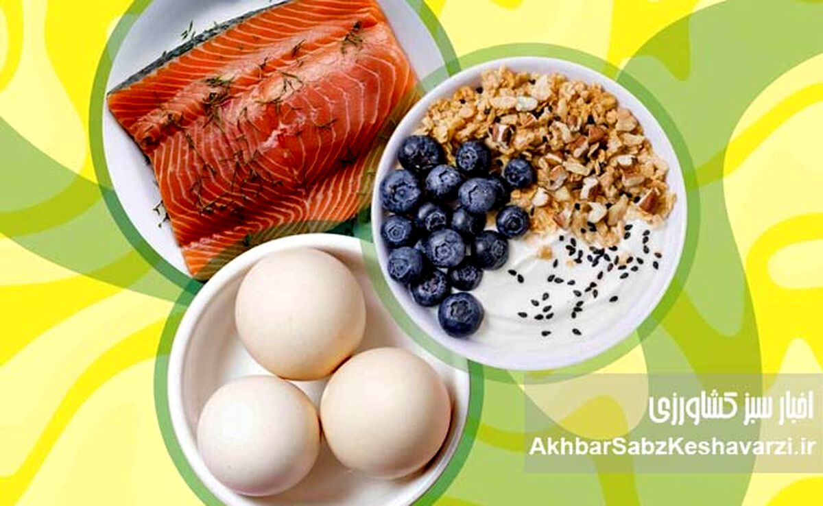 غذاهای نسل جدید: انقلابی در تغذیه مدرن؛ راهی به سوی آینده‌ای سالم‌تر و پایدارتر