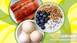غذاهای نسل جدید: انقلابی در تغذیه مدرن؛ راهی به سوی آینده‌ای سالم‌تر و پایدارتر