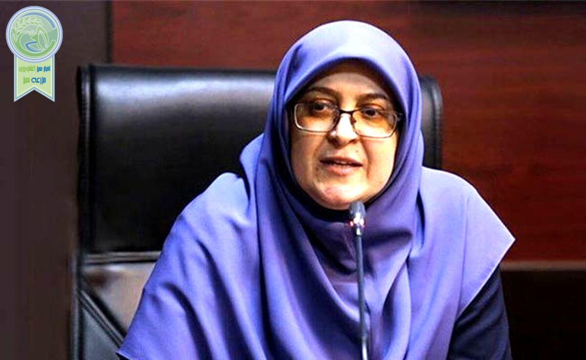 کیهان به انتصاب این خانم در دولت پزشکیان حمله کرد

