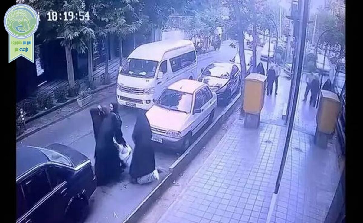اطلاعیه پلیس درباره فیلم مربوط به «گشت ارشاد» و ضرب‌و‌شتم دختر ۱۴‌ساله+ ویدئو

