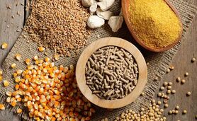 قیمت نهاده های دامی و کشاورزی ۲۱ اسفند ۱۴۰۲+جدول


