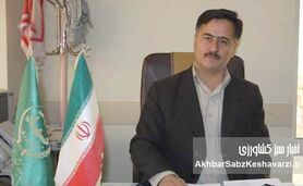 سخنان مهندس عدیل سروی، نگاه رئیس جمهور را به امنیت غذایی کشور معطوف کرد