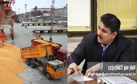 چالش‌های ارزی نهاده: هزاران تن نهاده در انتظار ارز!+ ویدئو