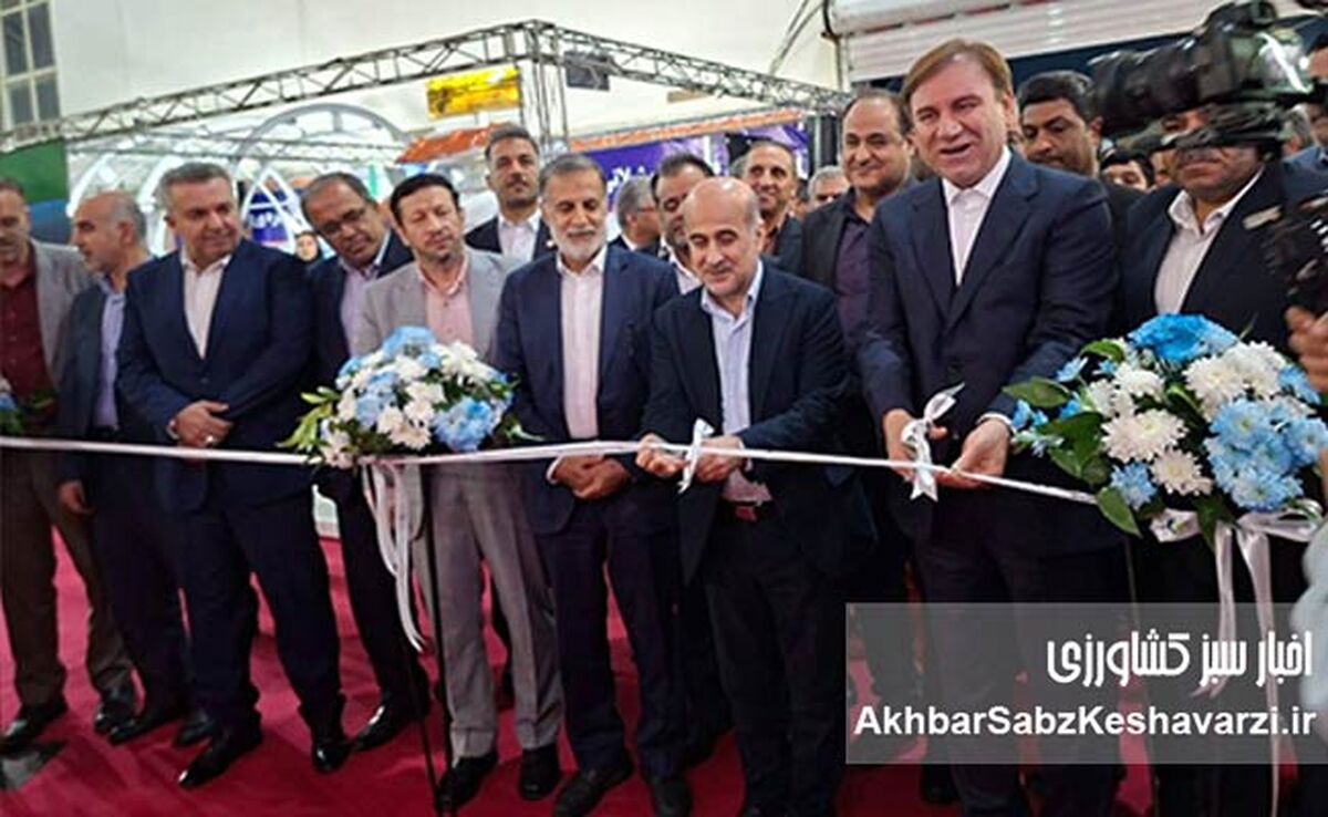 اقتصاد آینده ایران ناگزیر به سمت دریا حرکت می‌کند/ شیلات فقط ماهی و میگو نیست+ویدئو