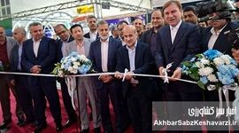 اقتصاد آینده ایران ناگزیر به سمت دریا حرکت می‌کند/ شیلات فقط ماهی و میگو نیست+ویدئو