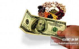 گرانی حبوبات، کمر مردم را خم کرد