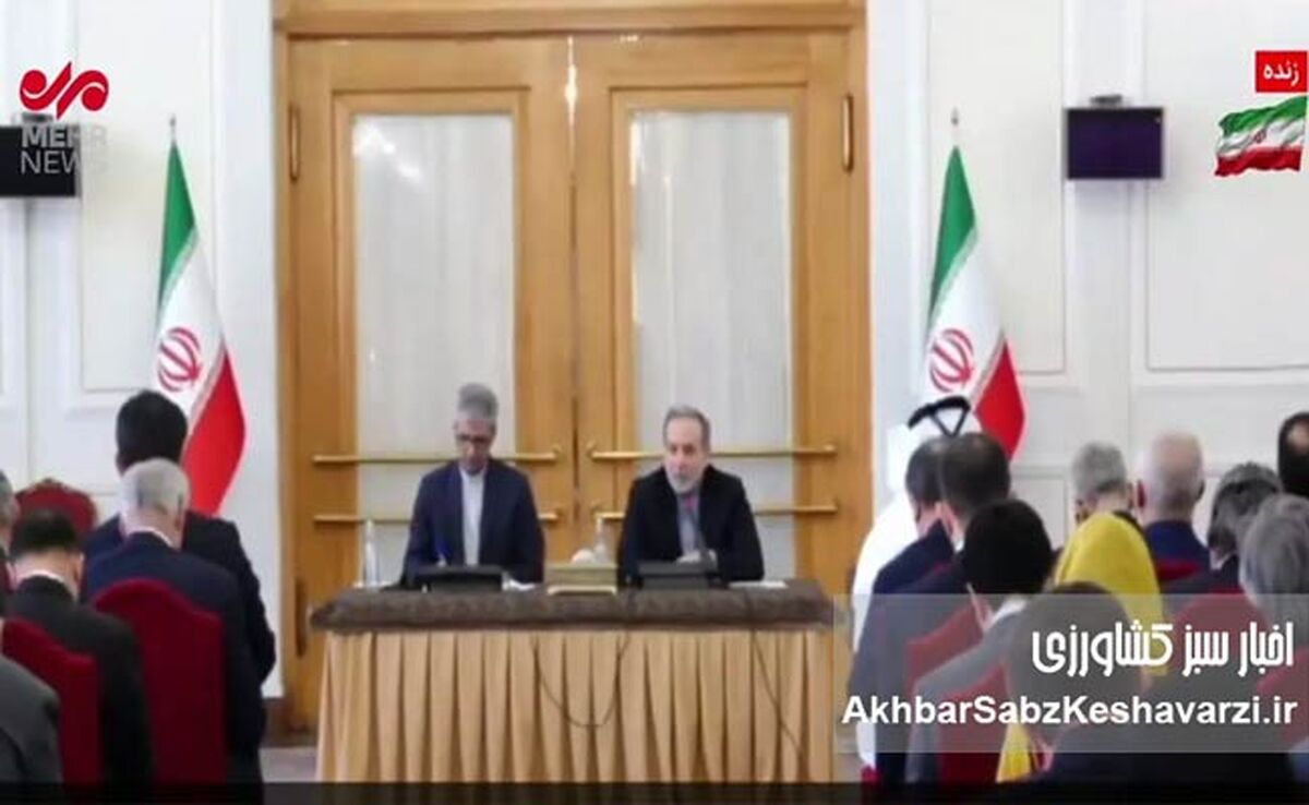 عراقچی: برای هر توافقی که هدف آن عدم برخورداری ایران از سلاح هسته‌ای باشد آماده‌ایم+ویدئو

