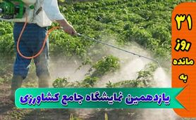 ادامه چالش تولیدکنندگان سم و کود برای تامین ارز


