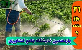 ادامه چالش تولیدکنندگان سم و کود برای تامین ارز

