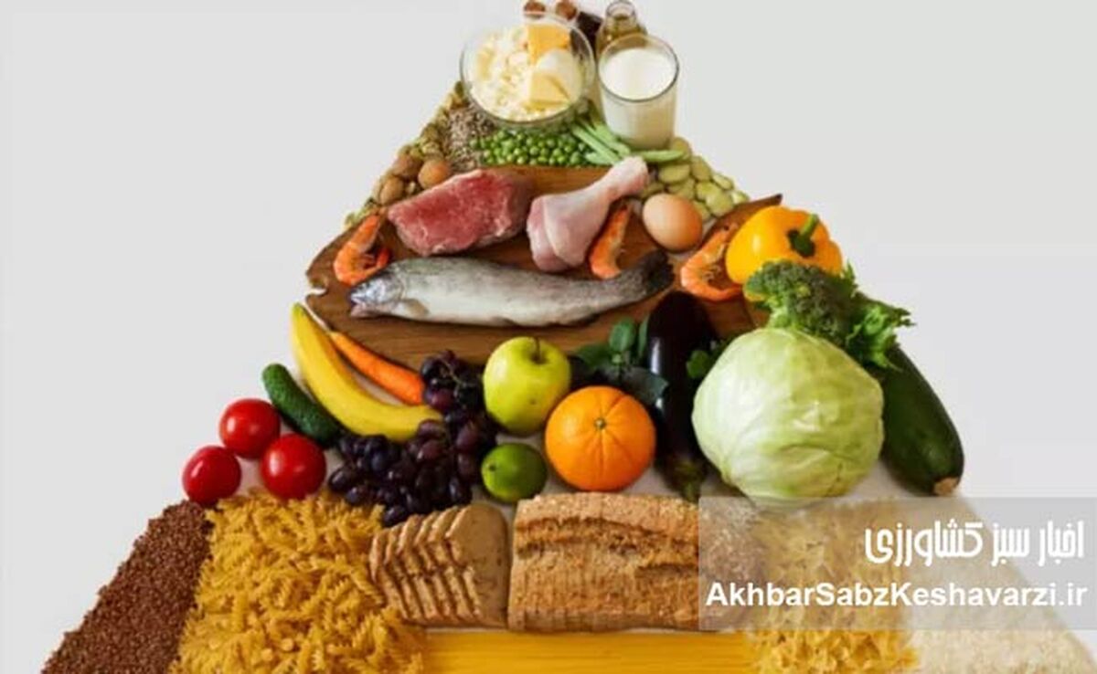 تغذیه سالم: آیا واقعاً به مکمل‌ها نیاز دارید؟ بشقاب‌تان را اصلاح کنید!