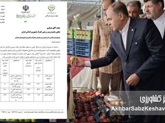 هدیه ۵۰ درصدی وزارت جهاد کشاورزی به صادرکنندگان؛ چراغ سبز به فرار ارزی؟+نامه