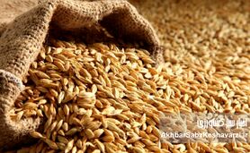 تامین و توزیع نهاده ها اما،بازار مرغ و تخم مرغ در وضعیت شکننده