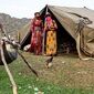 ۲۳۰ هزار قطعه زمین در روستاها؛ آیا واگذاری زمین می‌تواند اقتصاد روستایی را متحول کند؟